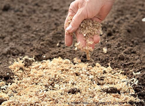 Тырса способствует лучшему кондиционированию почвы.