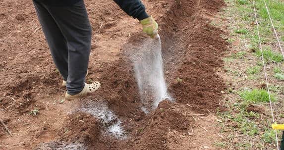 Удобрение почвы калийной солью