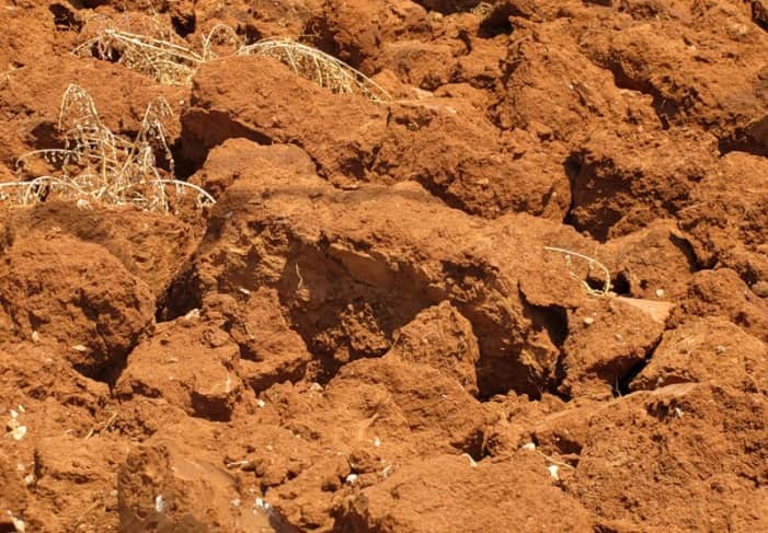 Поверхностный слой земли, содержащий песок и глину