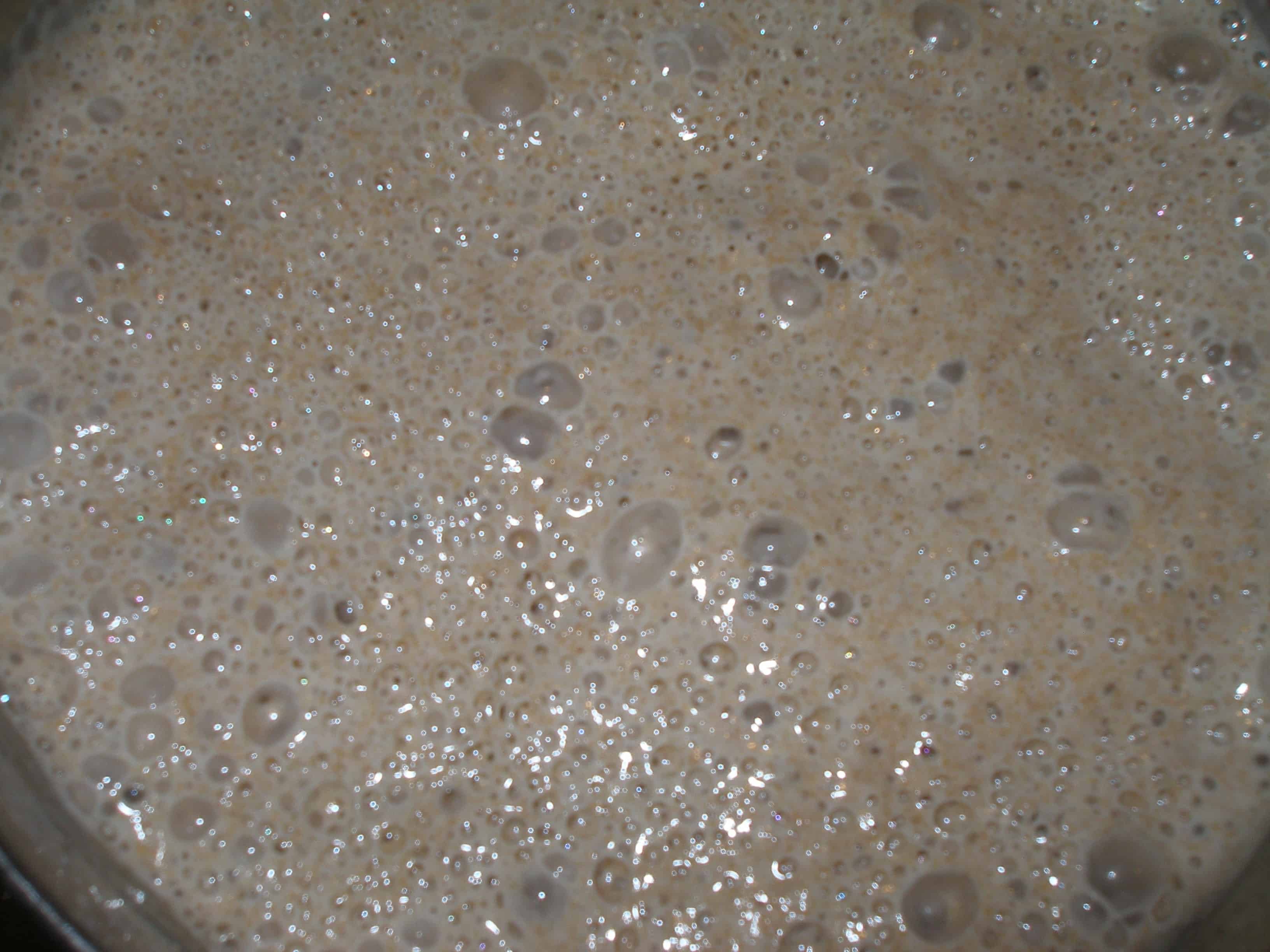 Улучшенный хлеб. Хлебный раствор. Хлебный раствор. Хлебный раствор. Удобрение из хлеба.