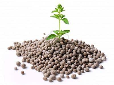 Неорганические и органические вещества для повышения урожайности почвы