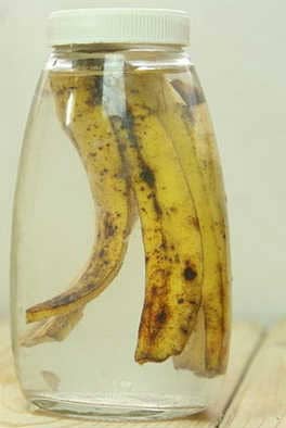 Настой из банановой кожуры