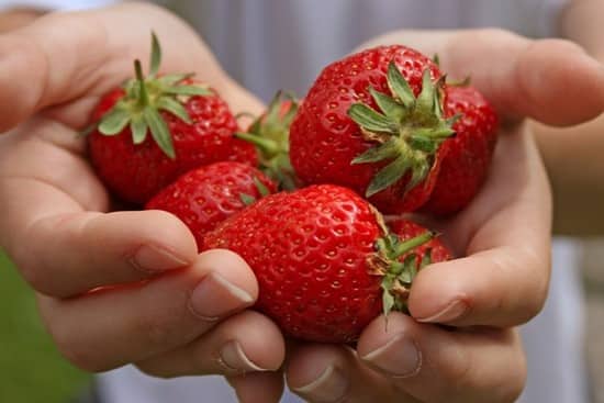 Вкусные ягоды результат плодотворных трудов