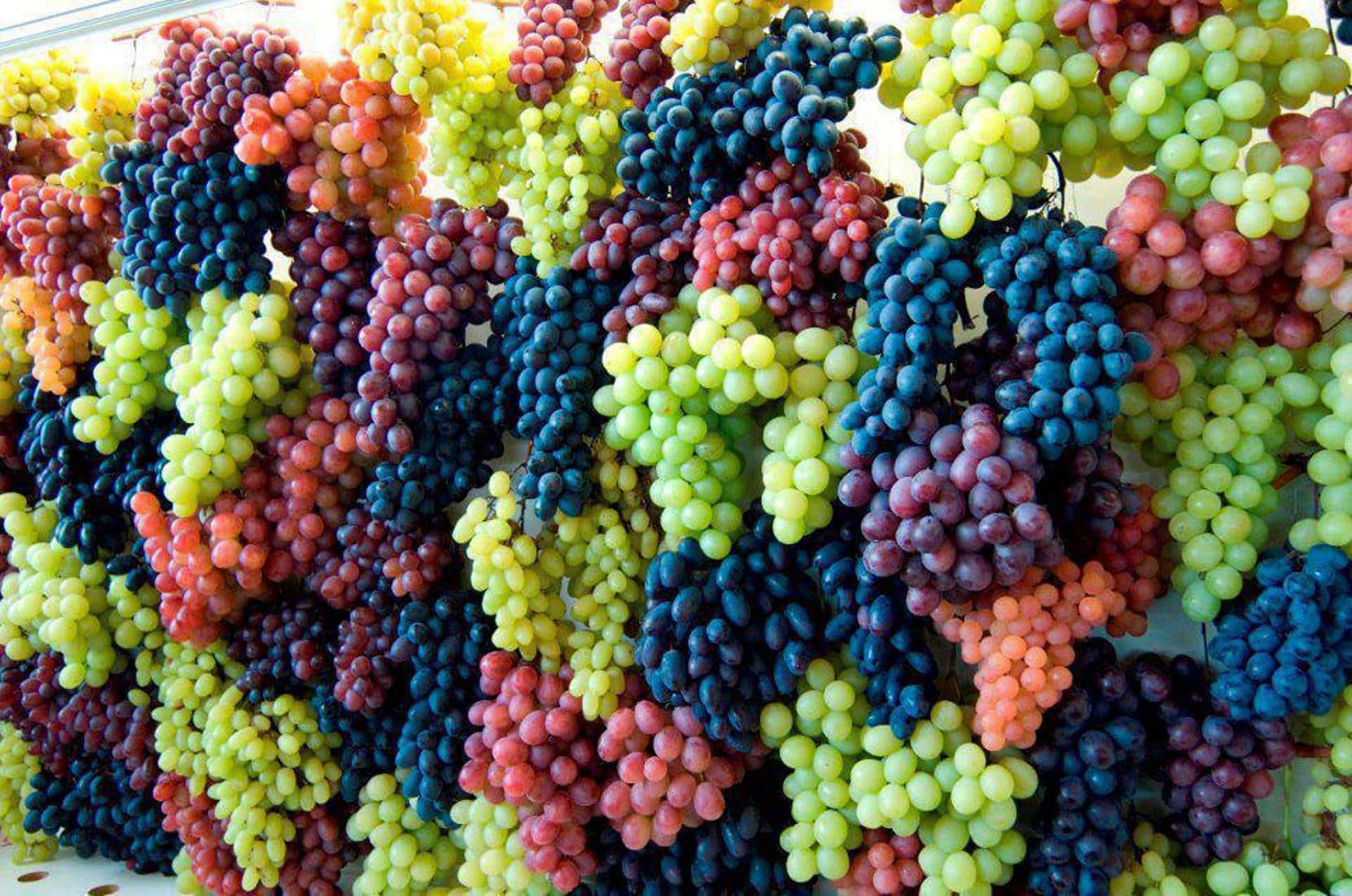 Удобряем виноград весной для шикарного урожая осенью